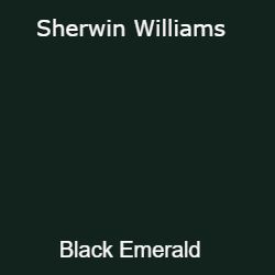 Sherwin Williams Black Emerald Paint Swatch